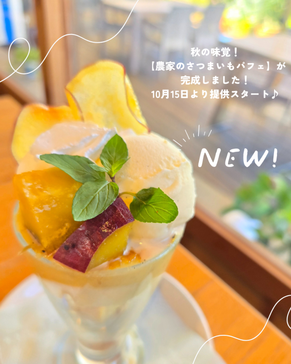 秋の新作スイーツ登場