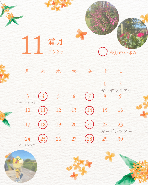 11月営業日カレンダー