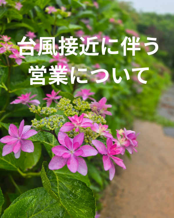 台風接近に伴う営業について